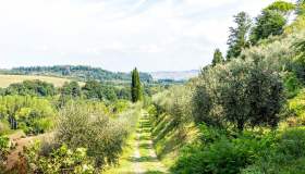 Nasce “Vini e cammini”, un nuovo progetto di promozione turistica in Italia