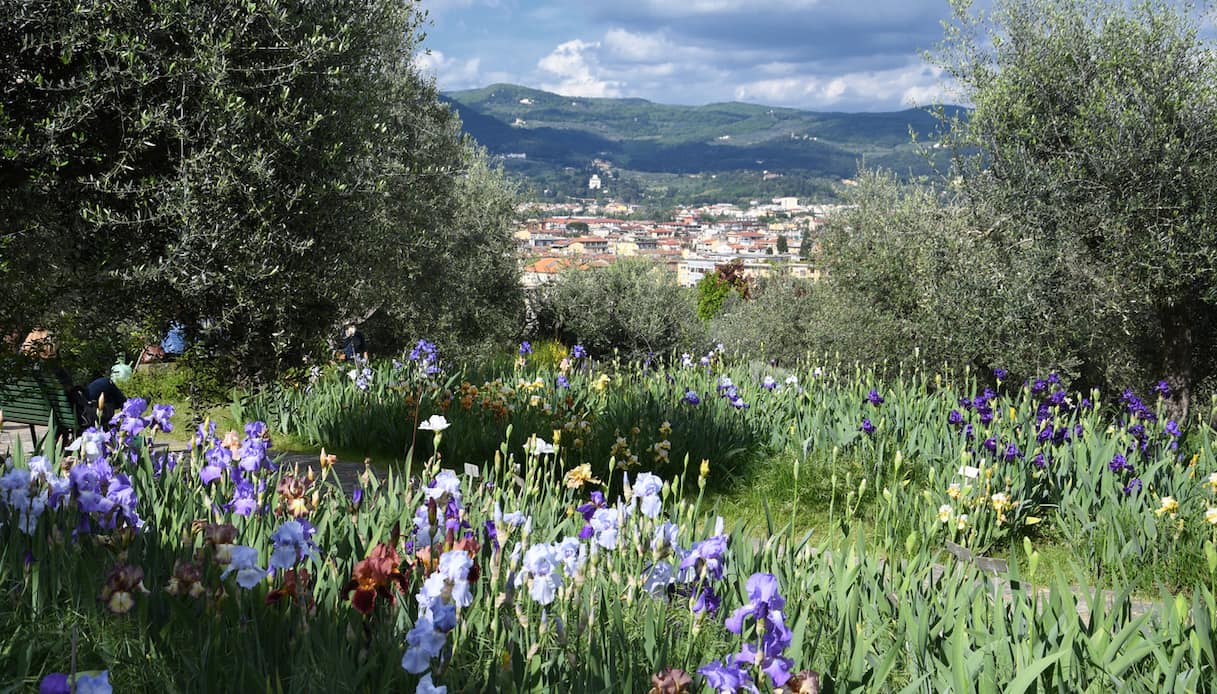 Riapre il bellissimo Giardino dell’Iris di Firenze