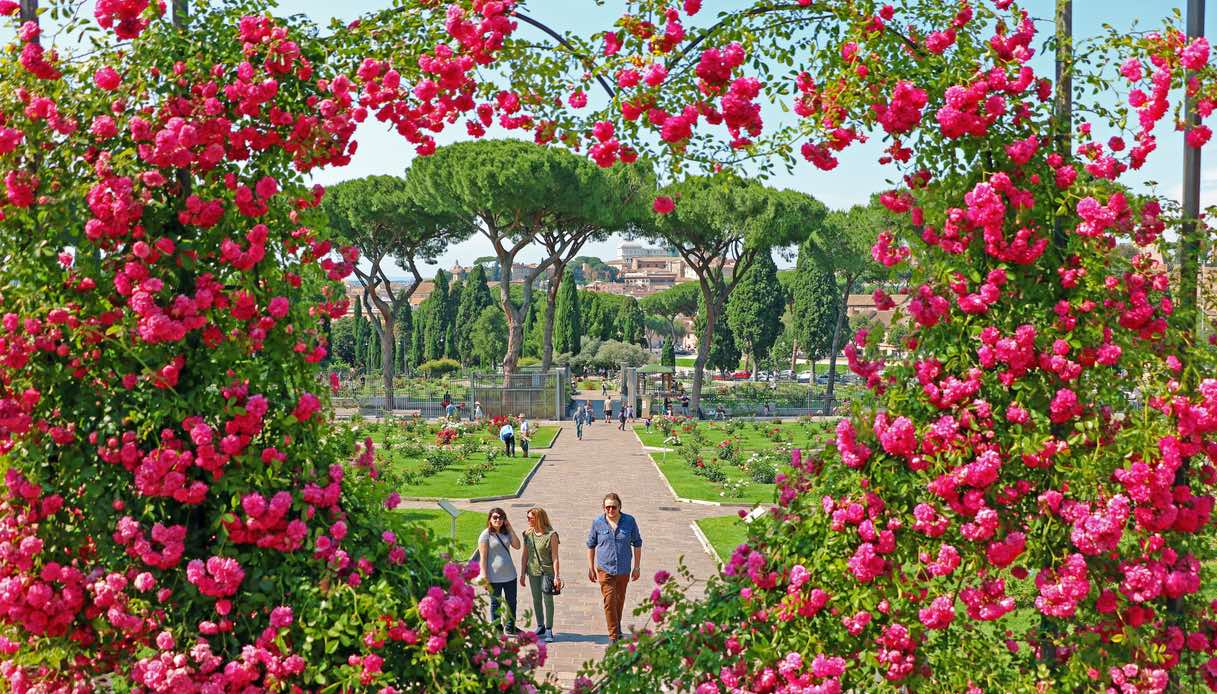 Riapre il Roseto Comunale di Roma, per il Natale della città