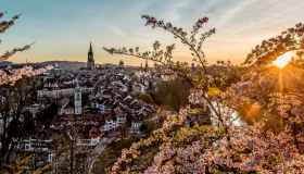 La primavera svizzera ti aspetta: una promo interessante per viaggiare in treno Eurocity pagando la metà