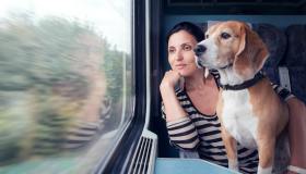 Su Trenord gli animali viaggiano gratis