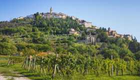 Umbria, patria dell’enoturismo: le esperienze da vivere