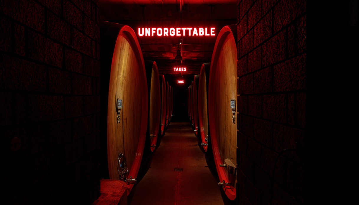 Esperienza sensoriale immersiva nella cantina di Casa Braulio