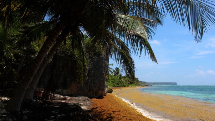 L’Isola di Mona, un angolo di paradiso a Porto Rico