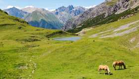 I luoghi meno noti della Valtellina consigliati dai local