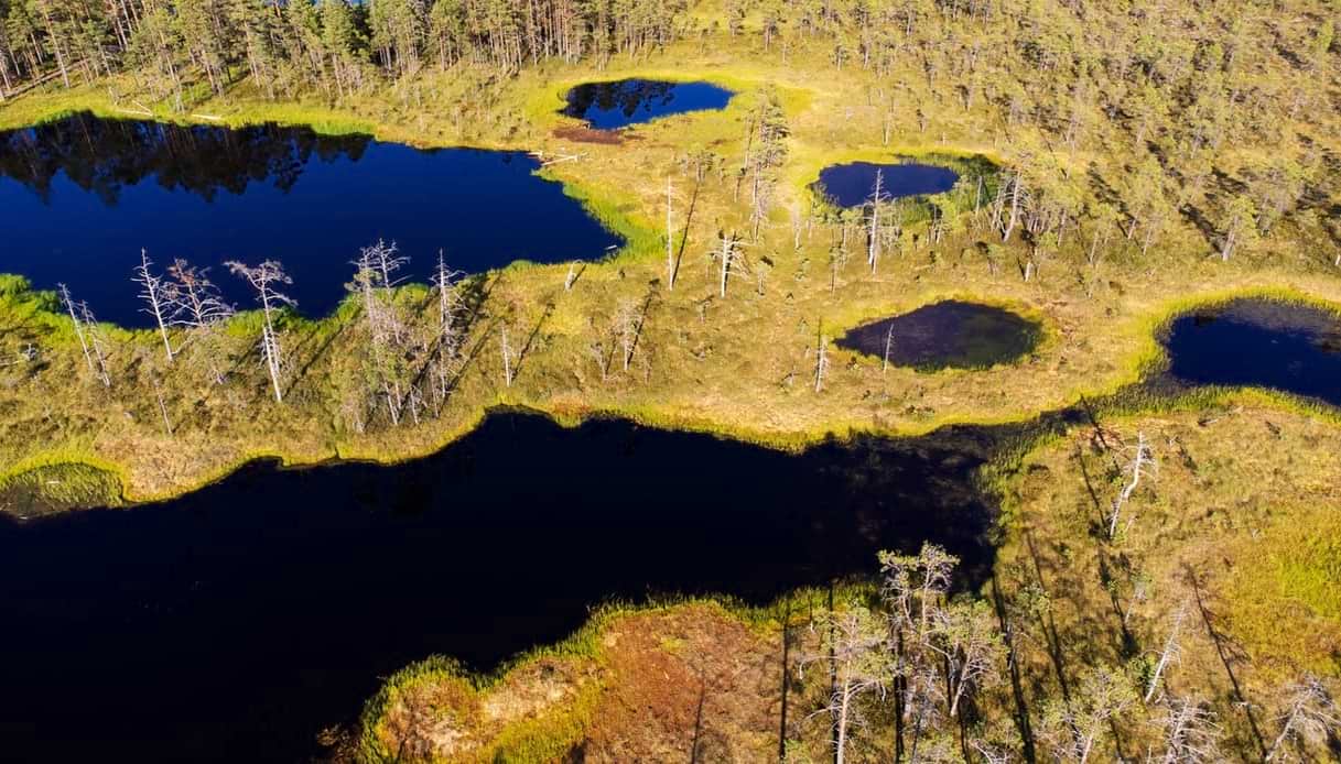 Le attività da fare nel Lahemaa National Park