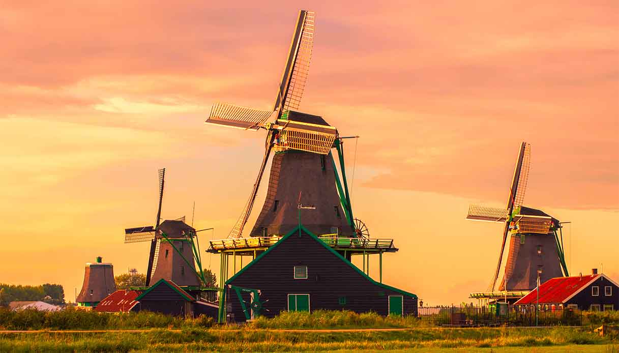 Dintorni di Amsterdam: le gite fuoriporta da non perdere