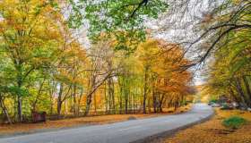 Quba, un luogo sospeso nel tempo: cosa vedere e cosa fare vicino a Baku
