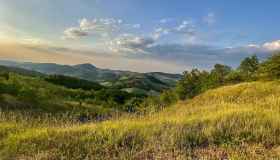 Parma e dintorni, dai colli alle eccellenze gastronomiche, gli itinerari top