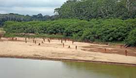 Perù, la tribù indigena dei Mashco Piro che vive isolata nella Foresta Amazzonica