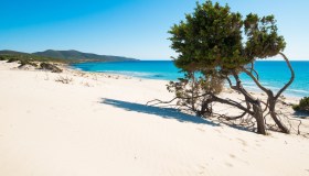 Porto Pino, il paradiso della Sardegna tra mare, dune, lagune e pineta