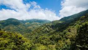 Blue Mountains, il gioiello nascosto della Giamaica