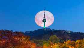 Visitare la N Seoul Tower e ammirare la capitale della Corea dall’alto