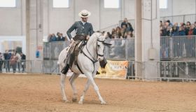 Con Fieracavalli scopri 126 anni di pura passione equestre