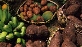 Viaggio culinario: i piatti tipici della Papua Nuova Guinea