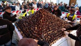 Sagre ed eventi del 9 e 10 novembre 2024