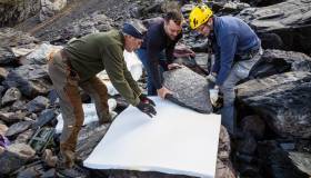 Scoperto un ecosistema preistorico fossilizzato in Valtellina, a 3.000 metri di quota