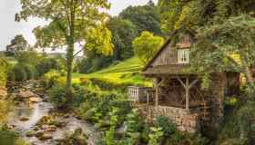 Sette foreste celebri che hanno ispirato gli scrittori di libri indimenticabili